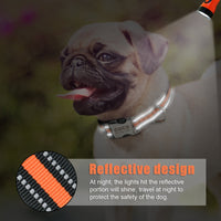 Nylon Dog Collar Personalized Pet Collar Engraved ID Tag Nameplate