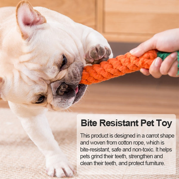 1Pc Pet Dog Carrot Chew Toys