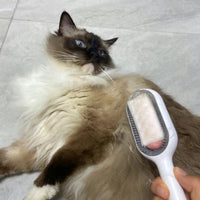 Double Sided Hair Removal Brushes for Cat Dog Pet Grooming Comb