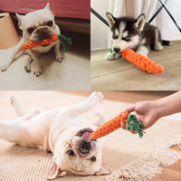 1Pc Pet Dog Carrot Chew Toys